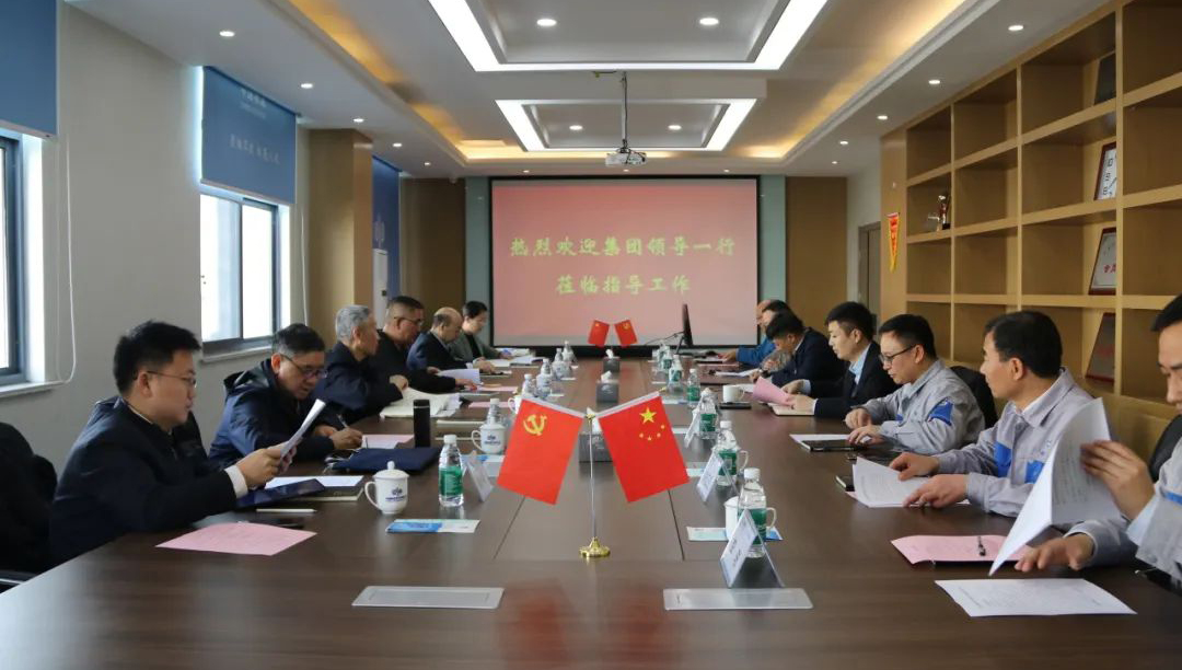 集团公司外部董事一行赴合肥等地调研